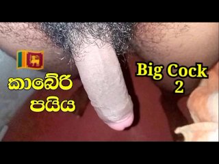 Let's take the big black pie in the mouth,හුත්ත පතුරු යනකන් කාබේරි පයියේ රස බලමු