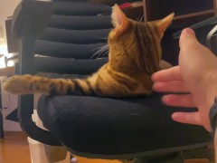 Pussy plays with you in missionary position .... Pussy likes to lick you