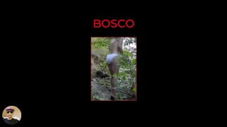 Fantasie femminili nel bosco - female fantasies in the woods