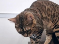 I peek into the room of the Pussy of my dreams, and suddenly the intense play starts ... . She was p