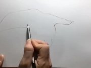 Preview 1 of How to Draw a Vulva | What do Vaginas Look Like