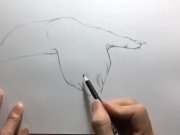 Preview 2 of How to Draw a Vulva | What do Vaginas Look Like