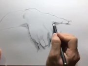 Preview 5 of How to Draw a Vulva | What do Vaginas Look Like