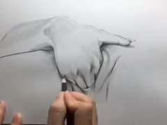 How to Draw a Vulva | What do Vaginas Look Like