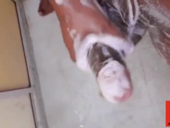 سكس مغربي ساخن 🔥 - Screenshot 2 of 16 - Morocco