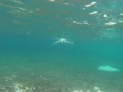 Video Im under the water, please help me