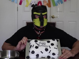 Puppy Krijgt Een Bone Cake Voor Hun Verjaardag
