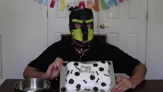 Cachorro recibe un pastel de huesos para su cumpleaños