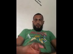 Mornin Wood Zelda Edition 