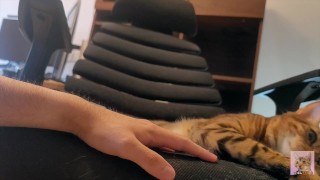 Il gattino coccolato vi guarda nel letto ... Un video romantico vi tranquillizza