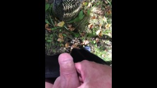 根据要求：在树上撒尿并在保存我的精液后不久短暂自慰以备后用