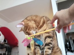 A toy that a quiet pussy sucks on.... Toy review