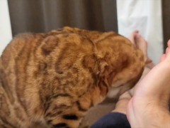 kitty  - Screenshot 15 of 16 - Fox