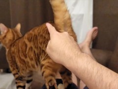 kitty  - Screenshot 3 of 16 - Fox