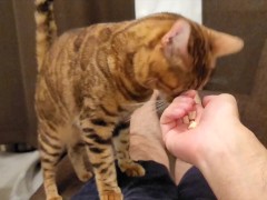 kitty  - Screenshot 4 of 16 - Fox