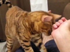 kitty  - Screenshot 6 of 16 - Fox