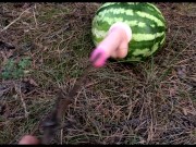Preview 2 of Fucked a WATERMELON in the Forest with two DICKS!!!! Crazy gay porn!!!
