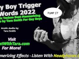 Gay Boi Trigger Words Mesmerizing Binaural Beats Sissy Training Mind fucking Feminization Audio Only