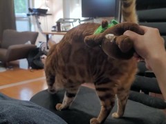 Pussy playing with a stuffed animal .... Girl who likes to chew hard.