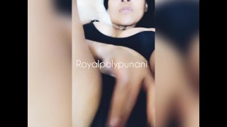 Royal Poly Punani ~ Royal Tease