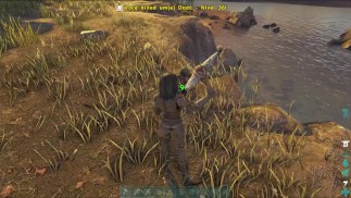 girl alone in the woods wanting to get the loot and holding the pickaxe