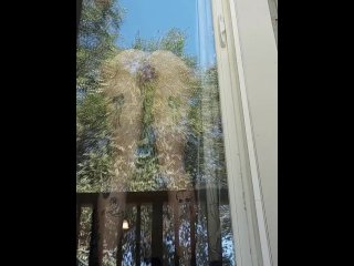 pawg, bent over, voyeur, window exhibitionist