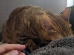 When you wake up in the morning, a lovely kitty will give you a massage ... . Romantic kitty