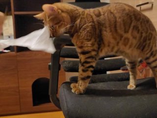 You don't need any special technique to make your pussy happy. We will teach you how to make your ki