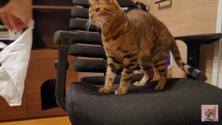 You don't need any special technique to make your pussy happy. We will teach you how to make your ki