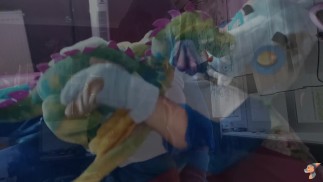 Melissa and doug plush dragon and Eryk Shark