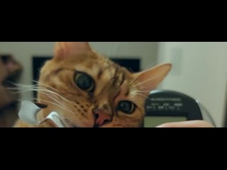 小猫在健身房锻炼时邀请你加入她 .... 我忍不住要奖励你......。