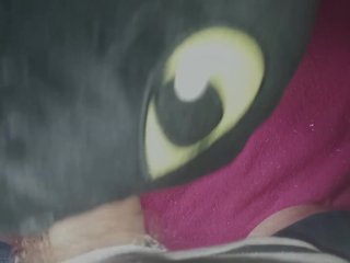 Toothless Dragon Fun1