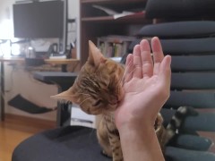 When you pet the furry pussy, she grooms you in return ... . Bites hurt.