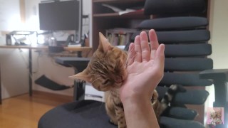 When you pet the furry pussy, she grooms you in return ... . Bites hurt.