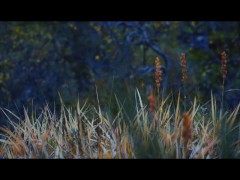 4K Norway hiking (Sony cinematic ads vibes) - FX3 TEST