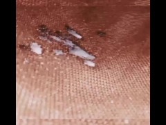 Busta Nuts 2 - Screenshot 16 of 16 - Cumshot