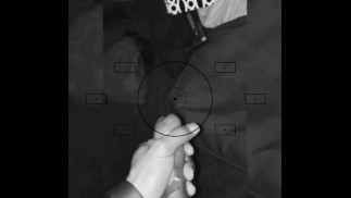 Орехи Баста 2