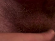 Preview 2 of Two Hairy Dads Bearded breeding