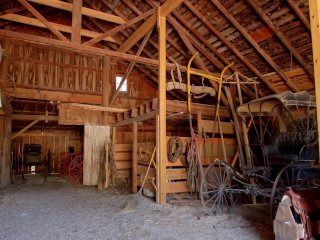 The Breeding of the Hucow