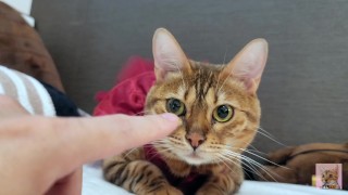 A furry pussy in a sexy dress stares at you on your bed ... . A romantic night begins.