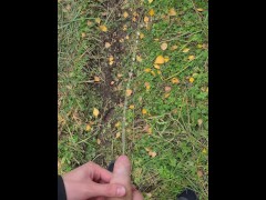 Cute 18 Teen Boy Can't Hold Pee and Desperately Moans while Peeing in Nature. | 4K