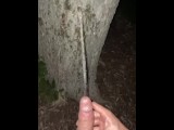 Squirting piss and cum on a tree in public 