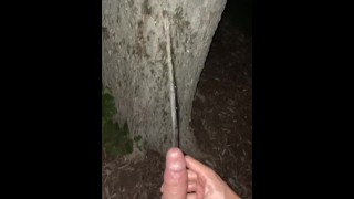 Squirting piss and cum on a tree in public 