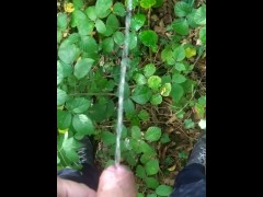 Pissing in forest 
