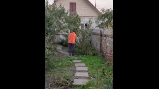 Evening in the garden