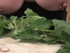 Nettle Bath for Dirty PigSlut's Udders