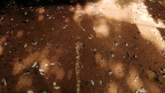 Мочеиспускание на землю Почва 🌍 _ как настоящие мужчины мочатся 💪 _ пузырчатая моча 💦