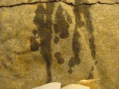 Halloween 2021 "The Nurses" Sharon & Ana Nova FULL session