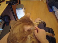 Playing