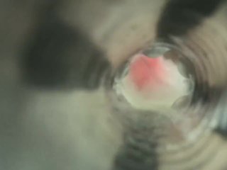 Inside the Fleshlight